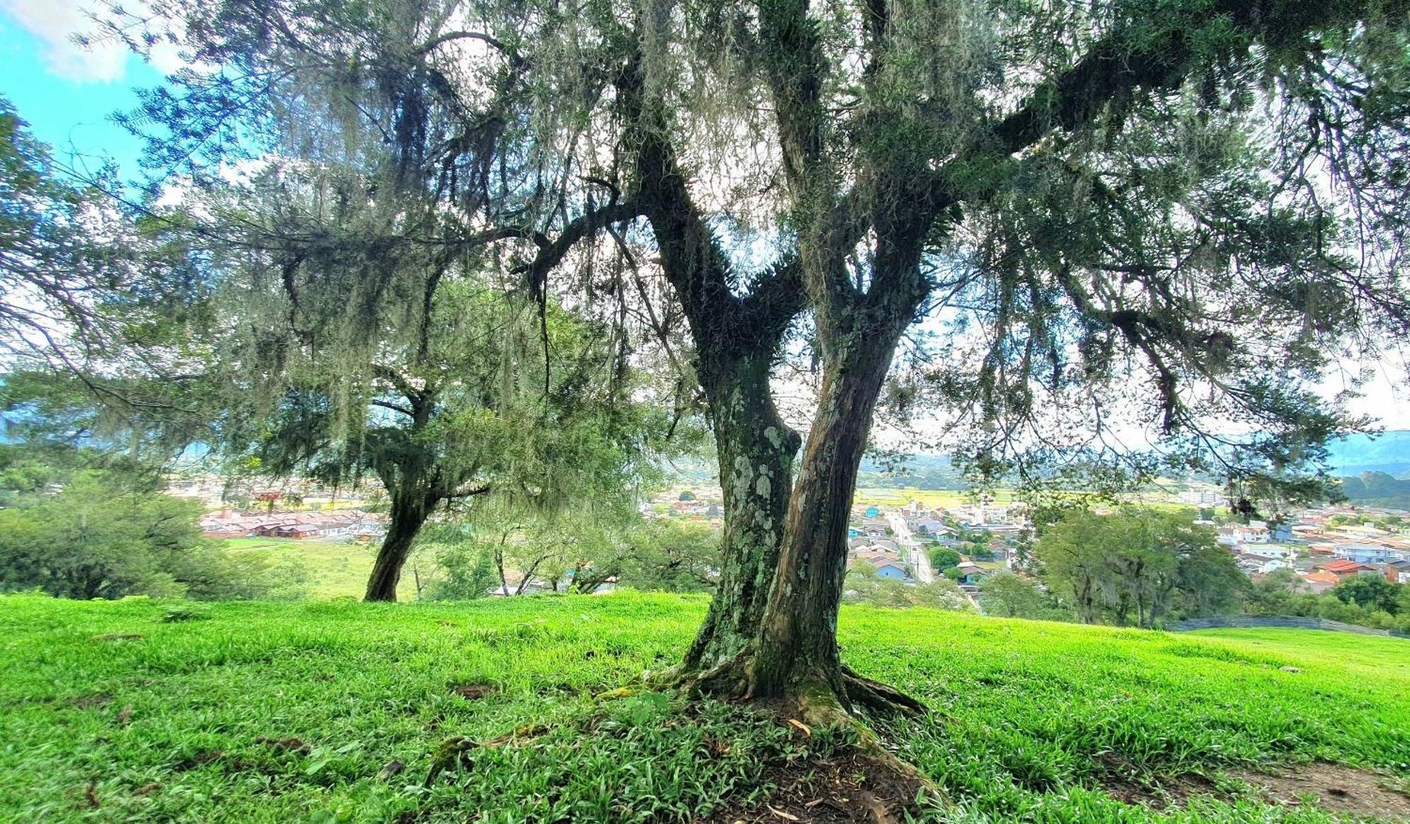 Cabana Canto Lindo - Urubici-Sc 外观 照片